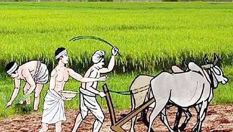 விவசாயிகள் ஆலோசனை குழு கூட்டம்