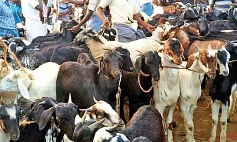 கோப்புபடம். 