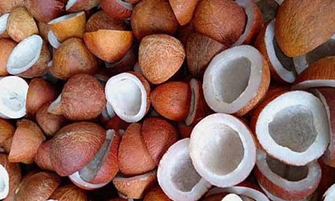கோப்புபடம். 