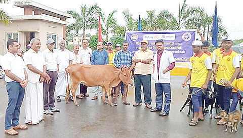 கால்நடை மருத்துவ முகாம் நடந்தது.