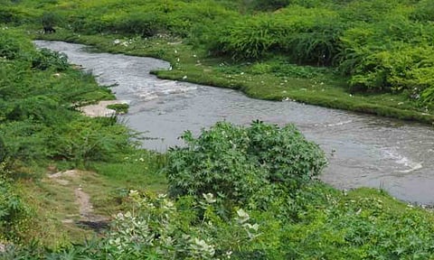 கோப்புபடம். 