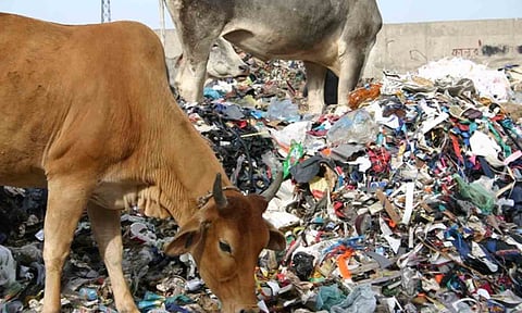 கோப்புபடம். 