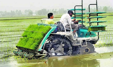 கோப்புபடம்.