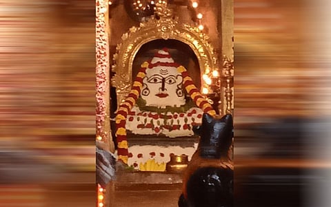 செங்கோட்டை சிவன் கோவிலில் அன்னாபிஷேக வழிபாடு