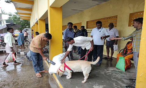 விக்கிரவாண்டி ெரயில் நிலையம், பஸ் நிலையம் பகுதியில் மோப்பநாய் உதவியுடன் வெடிகுண்டு சோதனை நடந்தது.