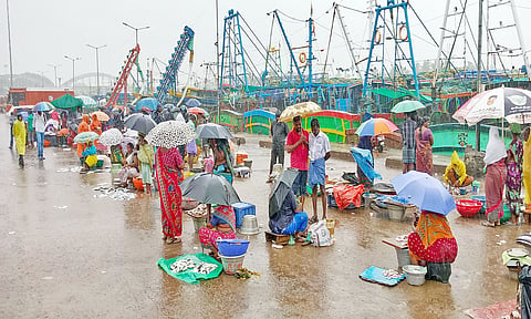 மீன் வாங்குவதற்கு பொது மக்கள் வராததால் கடலூர் துறைமுகம் வெறிச்சோடி இருப்பதை படத்தில் காணலாம்.