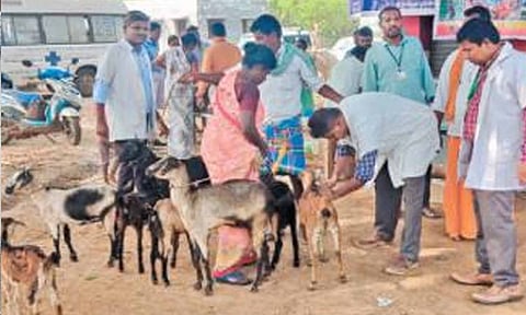 கோப்புபடம். 