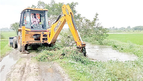 ஆகாய தாமரை செடிகள் அகற்றும் பணி தீவிரம்.