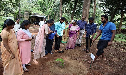 ஆய்வு பணிகளை இயக்குனர் பிருந்தாதேவி ஆய்வு செய்தபோது எடுத்த படம் 