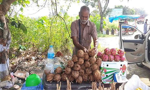 தேங்காய் பூ விற்பனை 