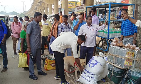  திண்டிவனம் பஸ் நிலைய பகுதியில் வெடி குண்டு நிபுணர்கள் மோப்பநாயுடன் இன்று சோதனை நடத்தினர். 