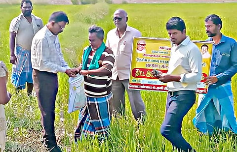 தொழு உரத்தை சூப்பர் பாஸ்பேட் கலந்து விதைக்க அறிவுறுத்தல்