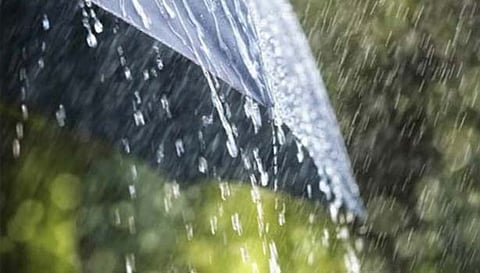 நெல்லை, தென்காசியில் சாரல் மழை: குற்றாலம் அருவிகளில் குளிக்க அய்யப்ப பக்தர்கள் கூட்டம் அதிகரிப்பு