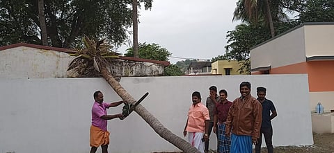 புங்கனூர் அங்கன்வாடி கட்டிடம் மீது முறிந்து விழுந்த தென்னை மரம்