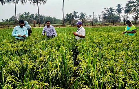 வேளாண்மை ஆராய்ச்சி நிலையத்தில் கண்காணிப்புக்குழு ஆய்வு