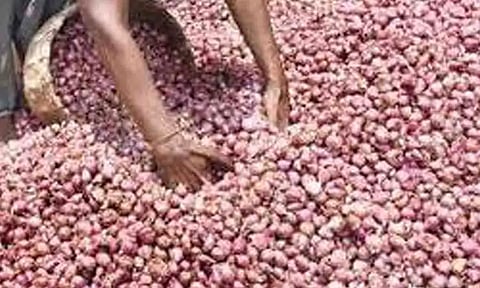 சின்ன வெங்காயம் விலை உயர்வால் விவசாயிகள் மகிழ்ச்சி
