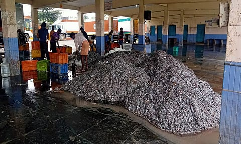 குளச்சல் அரபிக்கடலில் பறிமுதல் செய்யப்பட்ட மீன்கள் விற்பனைக்காக வைக்கப்பட்டிருந்த போது எடுத்த படம்.
