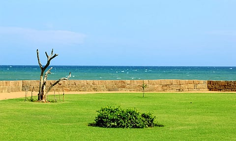 கோப்பு படம் 