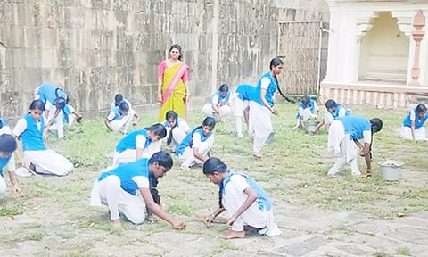 செடிகளை அகற்றும் பணியில் மாணவிகள்.