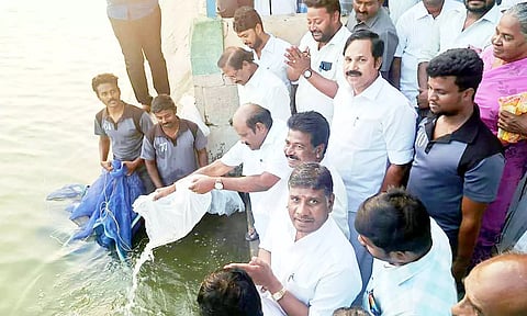 அணைக்கரை கொள்ளிடம் ஆற்றில் 40,ஆயிரம் மீன் குஞ்சுகளை அரசு தலைமை கொறடா கோவி.செழியன் தொடங்கினார்.