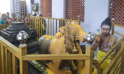 குகநாதீஸ்வரர் கோவிலில் உள்ள நந்தீஸ்வரருக்கு அபிஷேகம் நடந்த போது எடுத்த படம்.