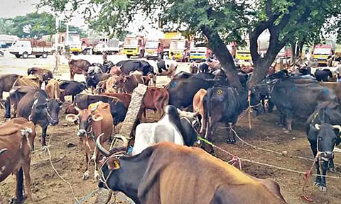 கோப்புபடம்.