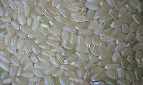 கோப்பு படம் 