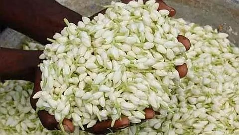 சத்தியமங்கலம் பூ மார்க்கெட்டில் 1 கிலோ மல்லிகைப்பூ ரூ.6,200-க்கு விற்பனை