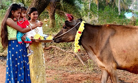 பிறவிப் பிணி தீர்க்கும் கோ பூஜை... வழிபட்டால் தீரும் பிரச்சனைகள்