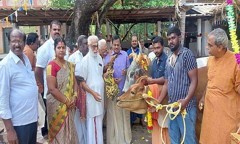 பசு மாடுகளுக்கு தளவாய் சுந்தரம் எம்.எல்.ஏ., விவேகானந்த கேந்திர அகில பாரத தலைவர் பாலகிருஷ்ணன் ஆகியோர் பழங்களை வழங்கினர்.