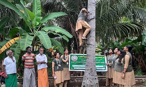 மாணவிகள் தென்னை மரம் ஏறும் கருவி குறித்து விவசாயிகளுக்கு செயல்விளக்கம் அளித்த காட்சி.