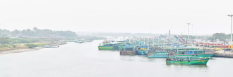 கடலூர் முதுநகர் துறைமுகம் பகுதியில் மீன் பிடிக்க மீனவர்கள் கடலுக்கு செல்லாததால் படகுகள் ஓய்வு எடுப்பதை படத்தில் காணலாம்.