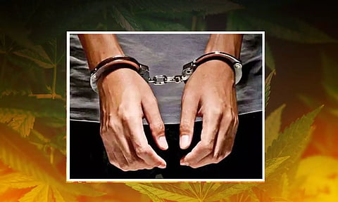 பாளையில் கஞ்சா விற்ற வாலிபர் கைது