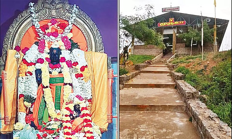 பாலமுருகனையும், கோவிலின் தோற்றத்தையும் படத்தில் காணலாம்.