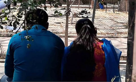 திருப்பூர் மாநகராட்சி பூங்காவில் குவிந்த காதல் ஜோடிகள். 