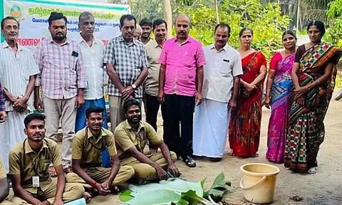  வாழை சாகுபடியில் கன்று நேர்த்தி குறித்து செயல் விளக்கம் அளிக்கப்பட்ட காட்சி.