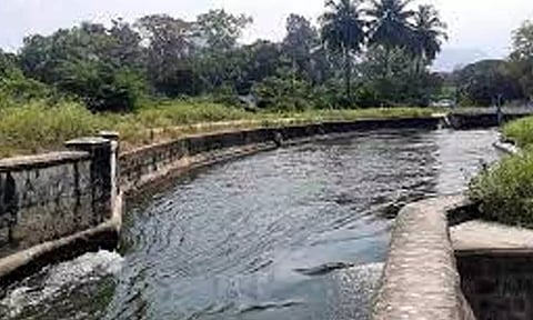 பி.ஏ.பி., 3-ம் மண்டல பாசனத்தில் மூன்றாம் சுற்றுக்கு தண்ணீர் திறப்பு
