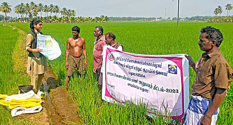 நெல் சாகுபடி செயல் விளக்கம்