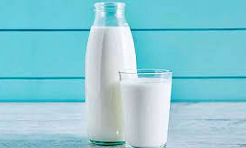 கோப்புபடம். 