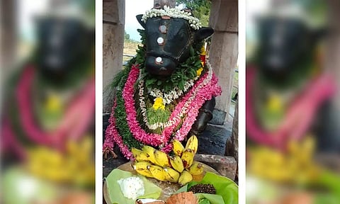 சிறப்பு அலங்காரத்தில் நந்திய பெருமாள்