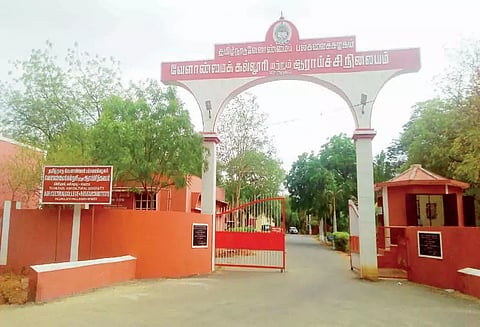 விவசாயிகள் ஆலோசனை அடிப்படையில் விற்பனை முடிவுகளை எடுக்க வேண்டும்-வேளாண்மை பல்கலைகழகம் பரிந்துரை