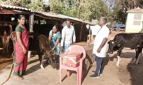 கோமாரி நோய் தடுப்பூசி முகாம்