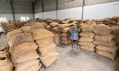 விற்பனைக்கு வந்த சூரியகாந்தி விதை மூட்டைகள். 