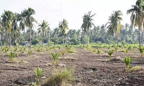 கோப்புபடம்.