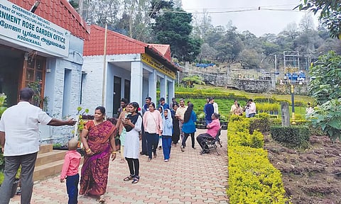 கொடைக்கானல் ரோஜா பூங்கா.