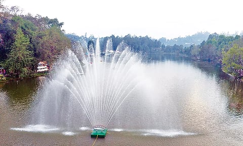 கொடைக்கானல் நட்சத்திர ஏரியில் அமைக்கப்பட்டுள்ள செயற்கை நீரூற்று.