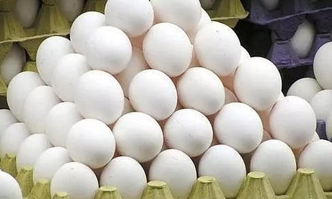 நாமக்கல் மண்டலத்தில் முட்டை மைனஸ் விலையை 40 காசுக்கு மேல் குறைக்க கூடாது- தேசிய ஒருங்கிணைப்பு குழு