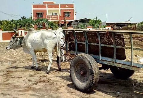  மணல் கடத்திய மாட்டு வண்டி பறிமுதல்
,மணல் கடத்திய மாட்டு வண்டி பறிமுதல்.
மணல் கடத்திய மாட்டு வண்டி பறிமுதல்