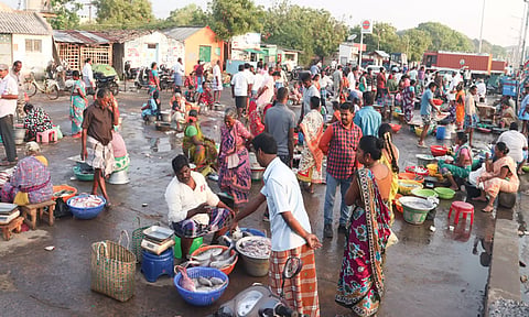  நேற்று இரவு கரை திரும்பிய மீனவர்களின் வலையில் சிக்கிய மீன்களை கடலூர் முதுநகர் துறைமுகம் பகுதியில் இன்று காலை வாங்க வந்த மக்களை படத்தில் காணலாம்.