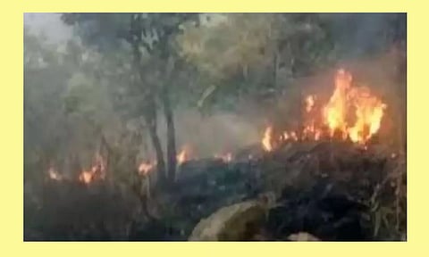 மேற்கு தொடர்ச்சி மலையில் போராடி தீயை அணைத்த வனத்துறையினர்